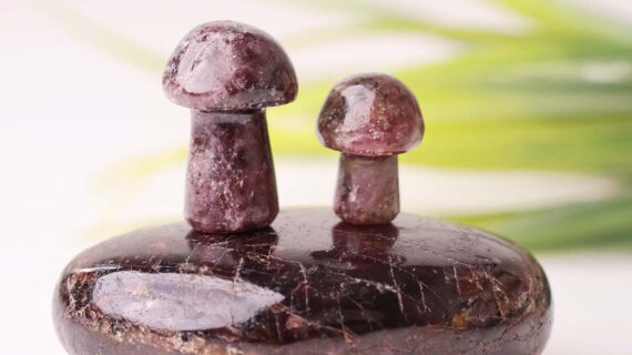 Rhodonite Mushroom