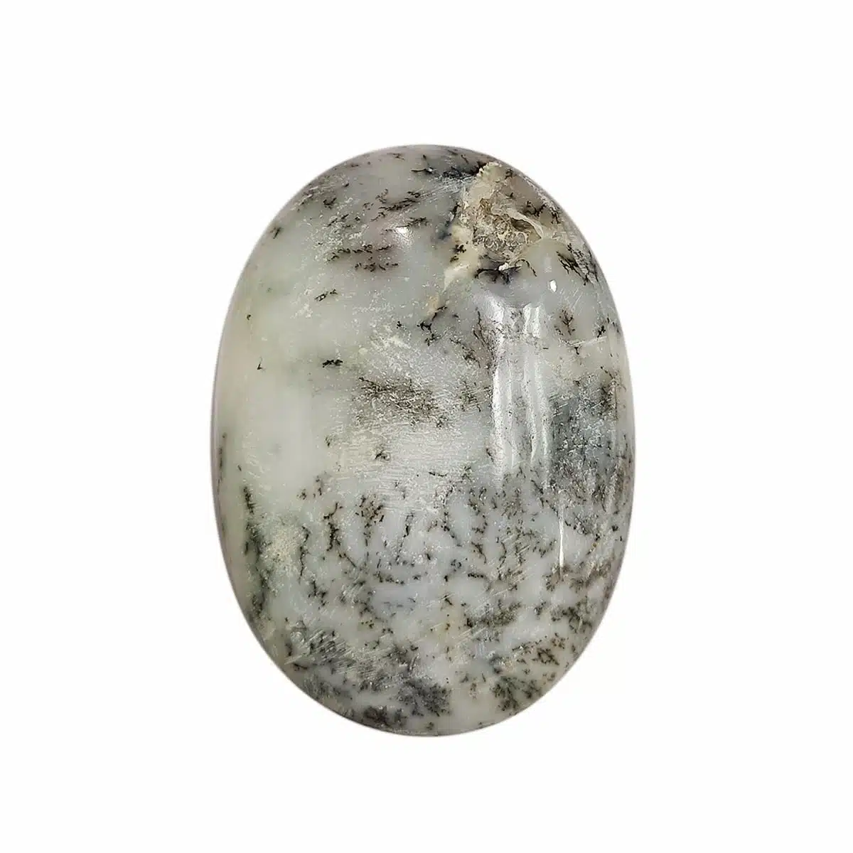 Dendrite Opal Palm Stone-Shubhanjali (1) Shop Crystal Dendrite Opal Palm Stone
