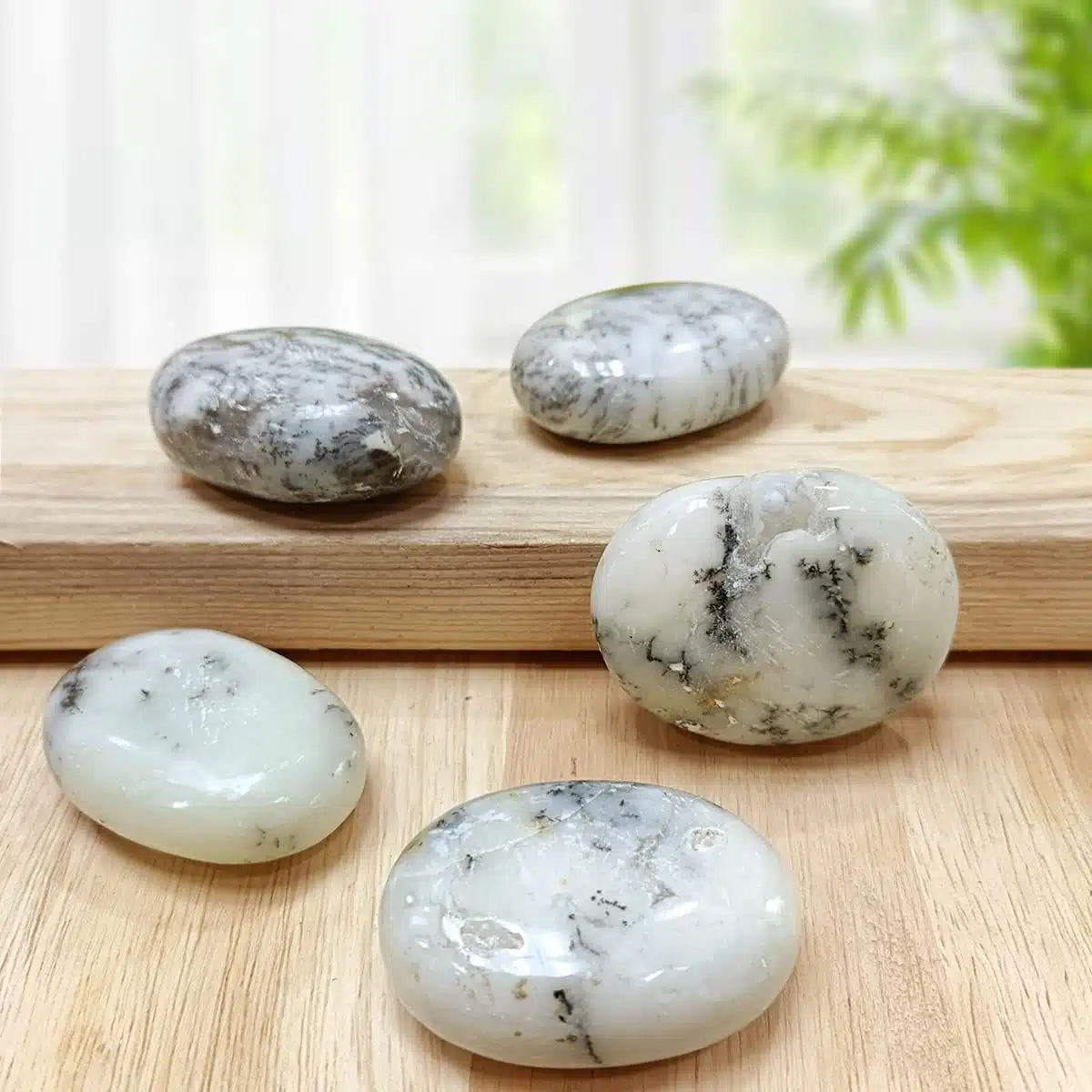 Dendrite Opal Palm Stone-Shubhanjali (4) Shop Crystal Dendrite Opal Palm Stone