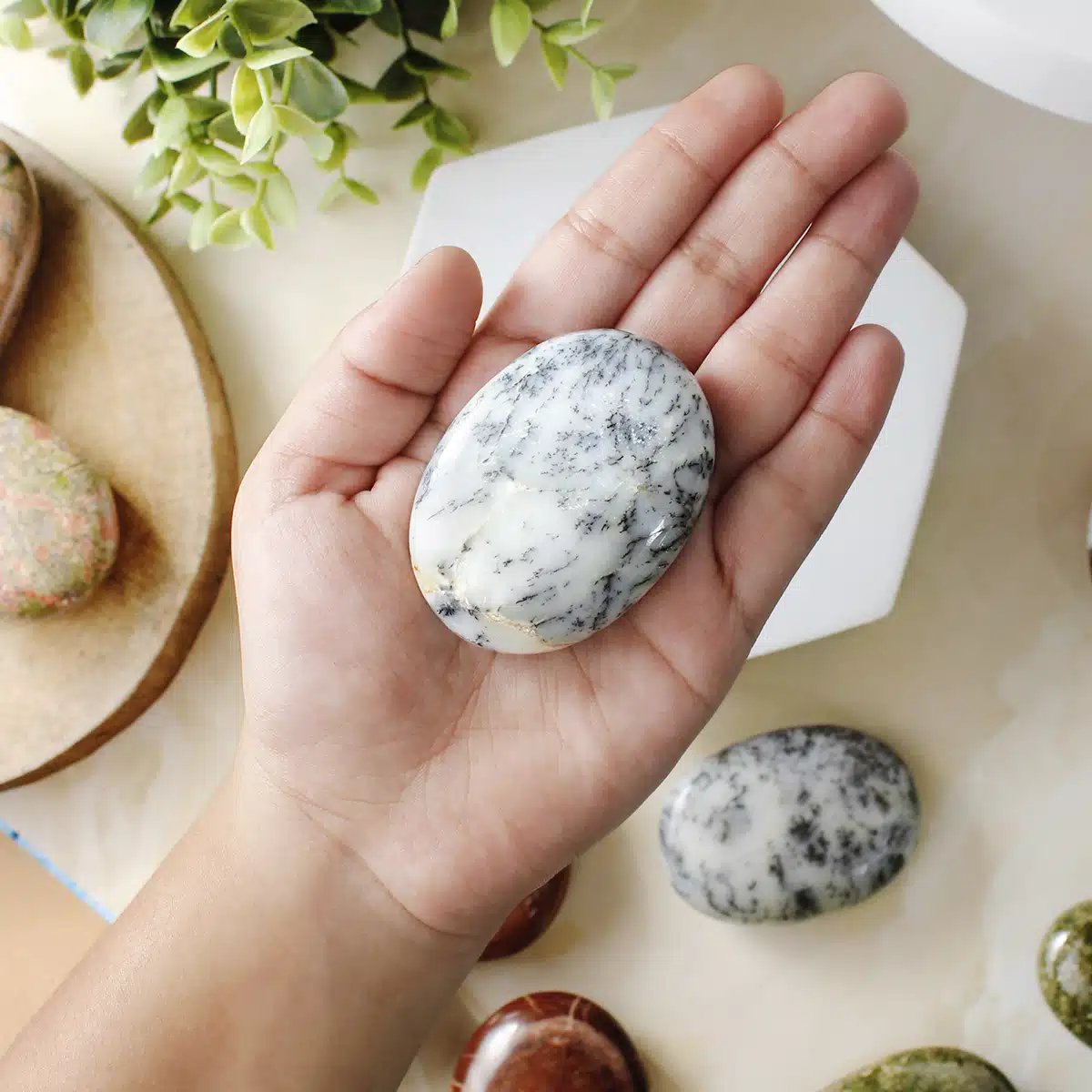 Shubhanjali-Dendrite Opal Palm Stone Shop Dendrite Opal Palm Stone