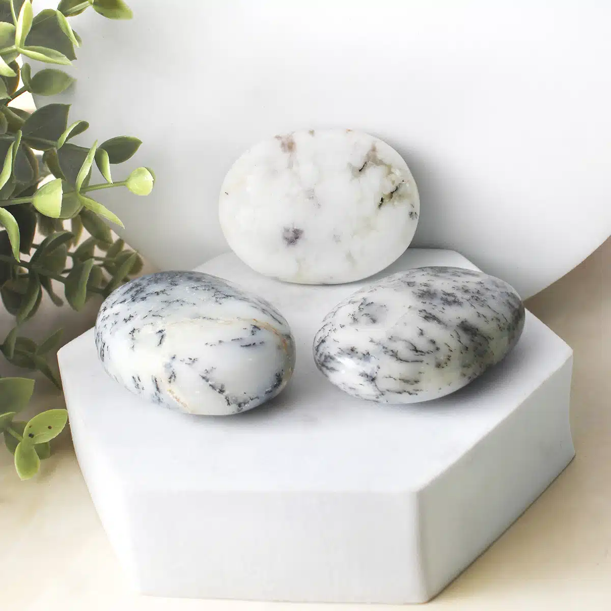 Shubhanjali-Dendrite Opal Palm Stone_ Shop Dendrite Opal Palm Stone