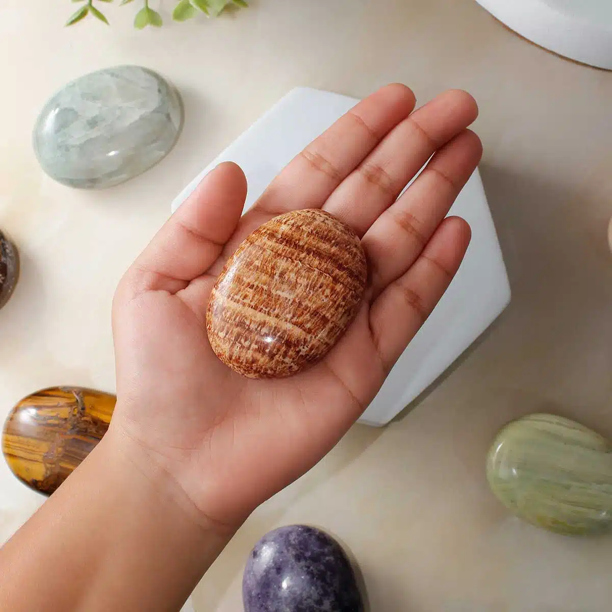 Shubhanjali-Banded Aragonite Palm Stone Shop Banded Aragonite Palm Stone