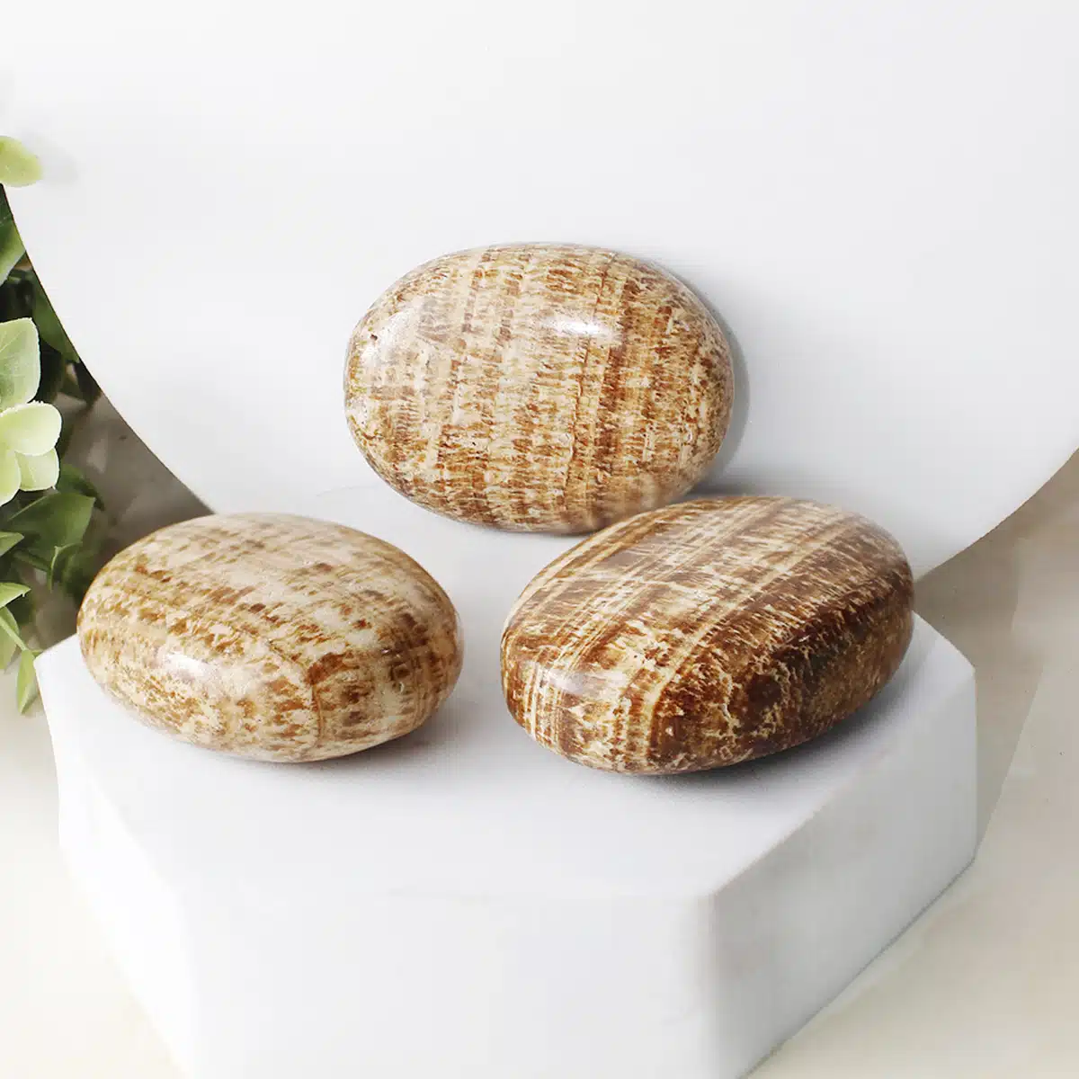 Shubhanjali-Banded Aragonite Palm Stone_1 Shop Banded Aragonite Palm Stone