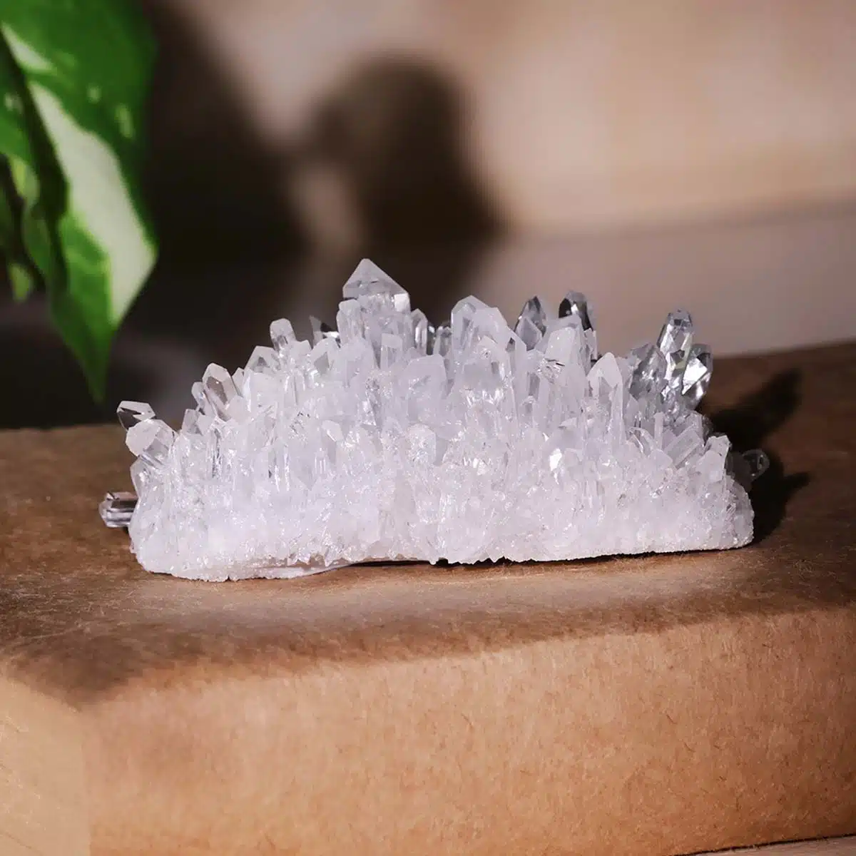 clear-quartz-flower-cluster (2)