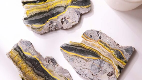 Bumblebee Jasper Slab