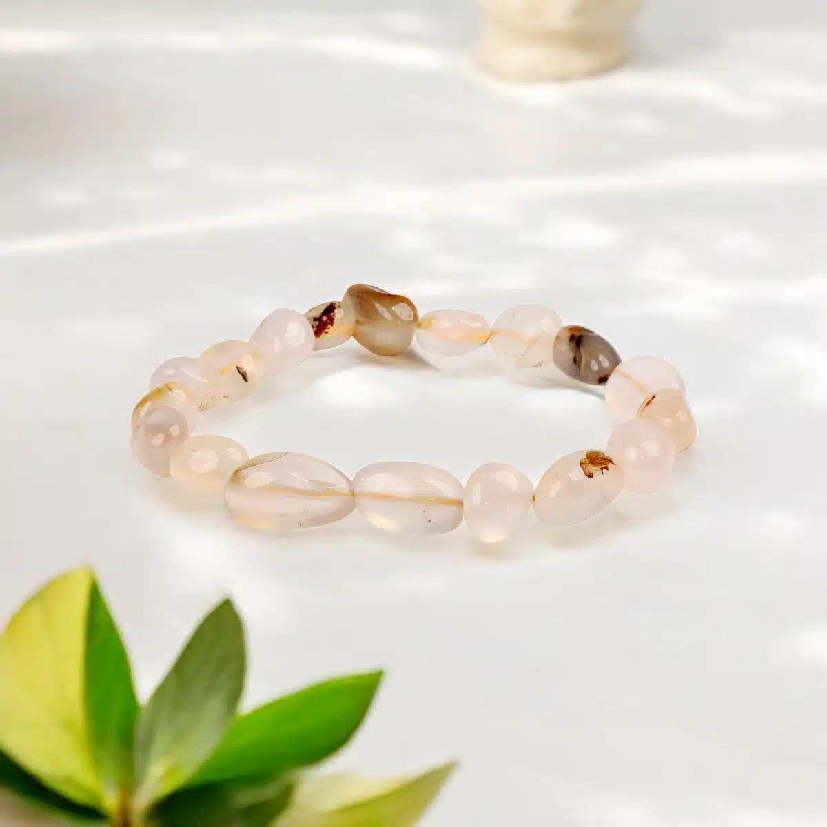 IMG_2011-Photoroom (1)