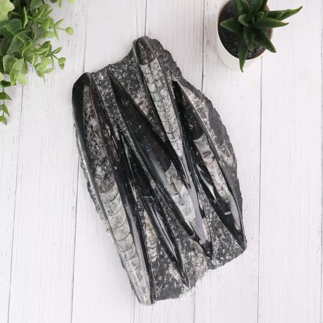 Shubhanjali-Kuber Stone Slab Kuber Stone Slab