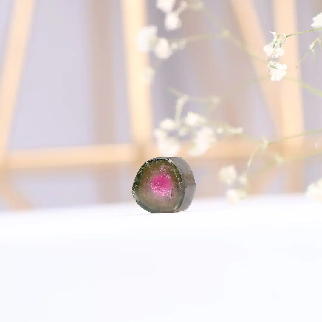 Shubhanjali-Watermelon Tourmaline Wings & Slices_2 Natural Watermelon Tourmaline Wings & Slices