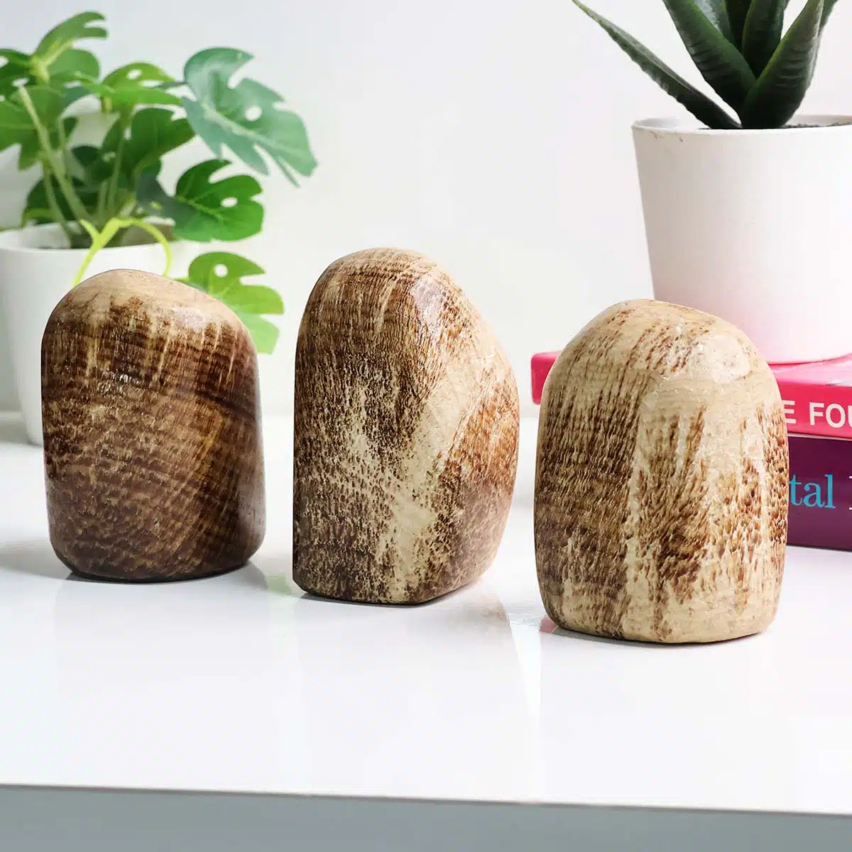 Shubhanjali-Banded Aragonite Free Form (1) Shop Banded Aragonite Free Form