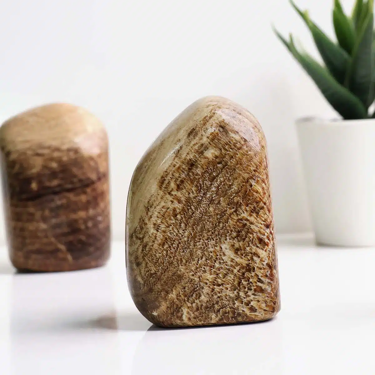 Shubhanjali-Banded Aragonite Free Form (2) Shop Banded Aragonite Free Form