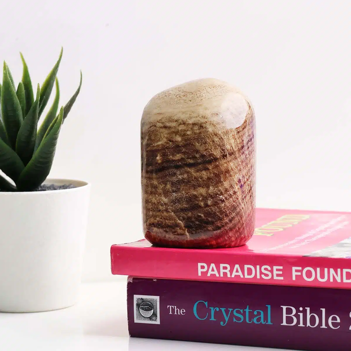 Shubhanjali-Banded Aragonite Free Form (3) Shop Banded Aragonite Free Form