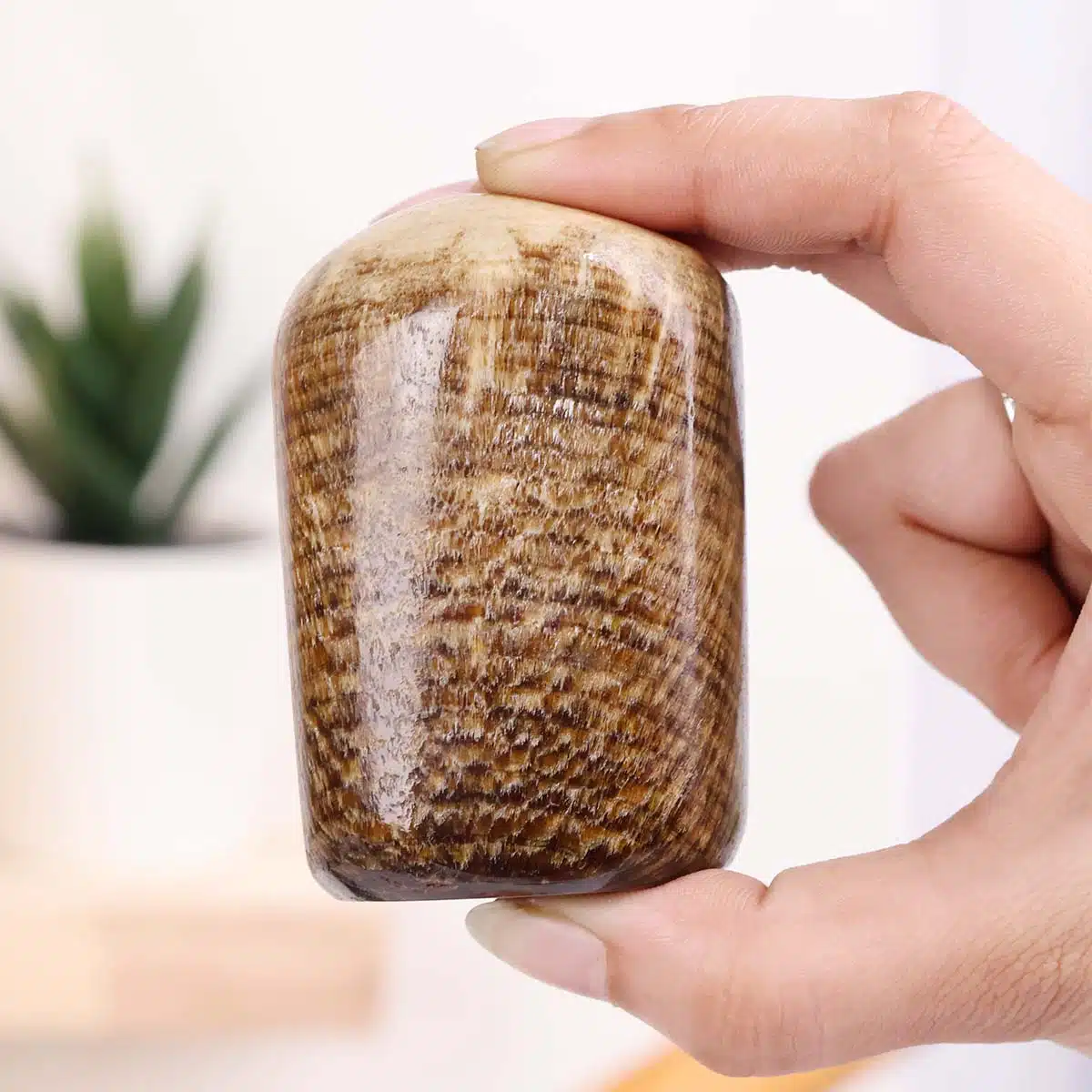 Shubhanjali-Banded Aragonite Free Form (5) Shop Banded Aragonite Free Form