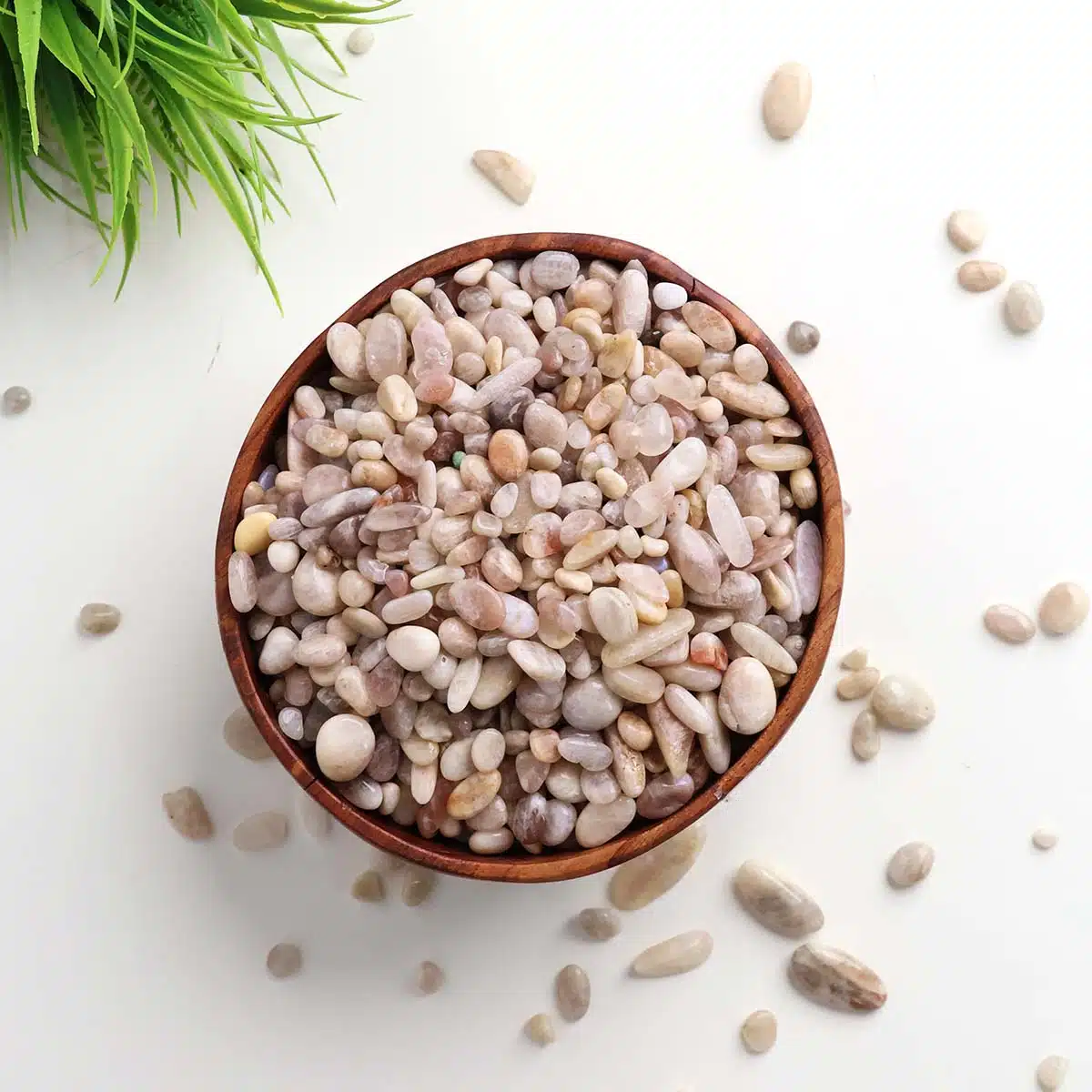 Shubhanjali-Blue Moonstone Chips Stone_7 Shop Natural Blue Moonstone Chips Stone