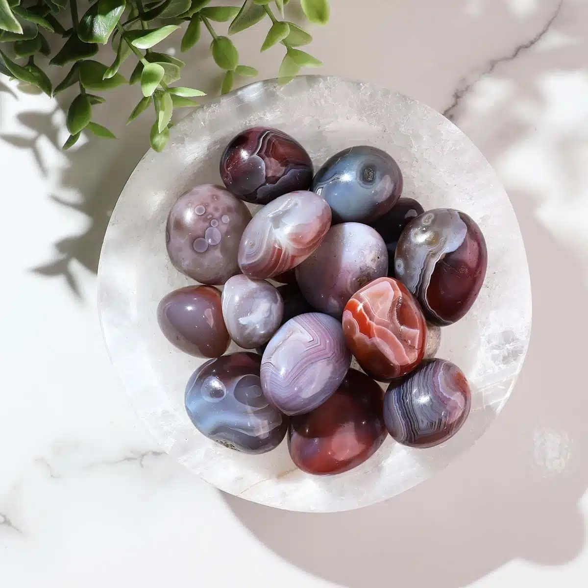 Shubhanjali-Botswana Agate Tumble Stone (3) Shop Botswana Agate Crystal Tumble Stone