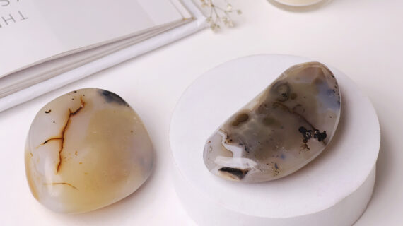 Agate Palm Stone