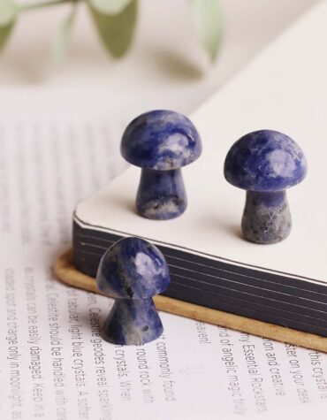 Sodalite Mushroom-Shubhanali Store