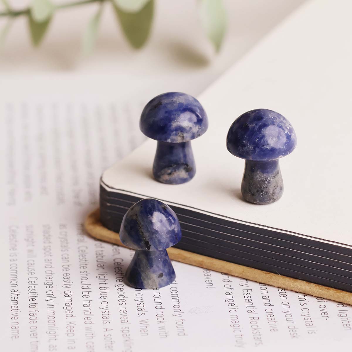 Sodalite Mushroom-Shubhanali Store (1) Sodalite Mushroom-Shubhanali Store