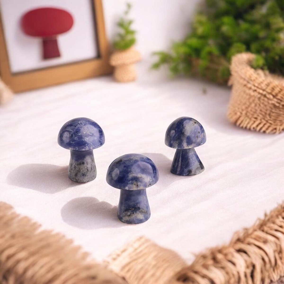 Sodalite Mushroom-Shubhanali Store (2) Sodalite Mushroom-Shubhanali Store