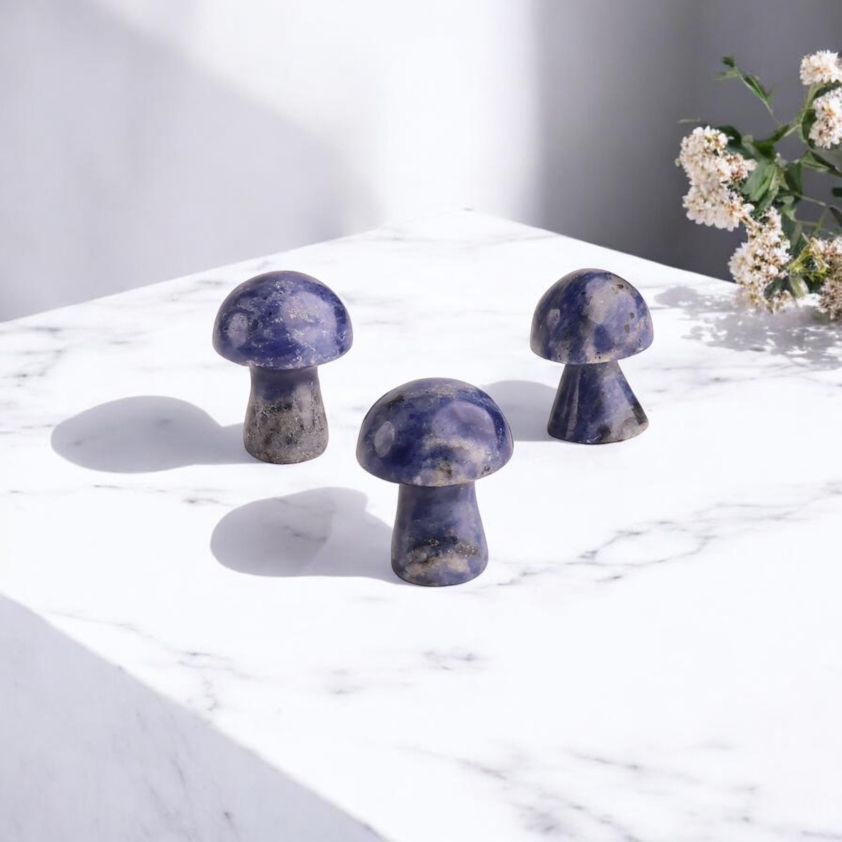 Sodalite Mushroom-Shubhanali Store (3) Sodalite Mushroom-Shubhanali Store