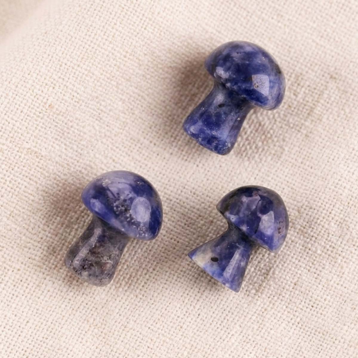 Sodalite Mushroom-Shubhanali Store (4) Sodalite Mushroom-Shubhanali Store