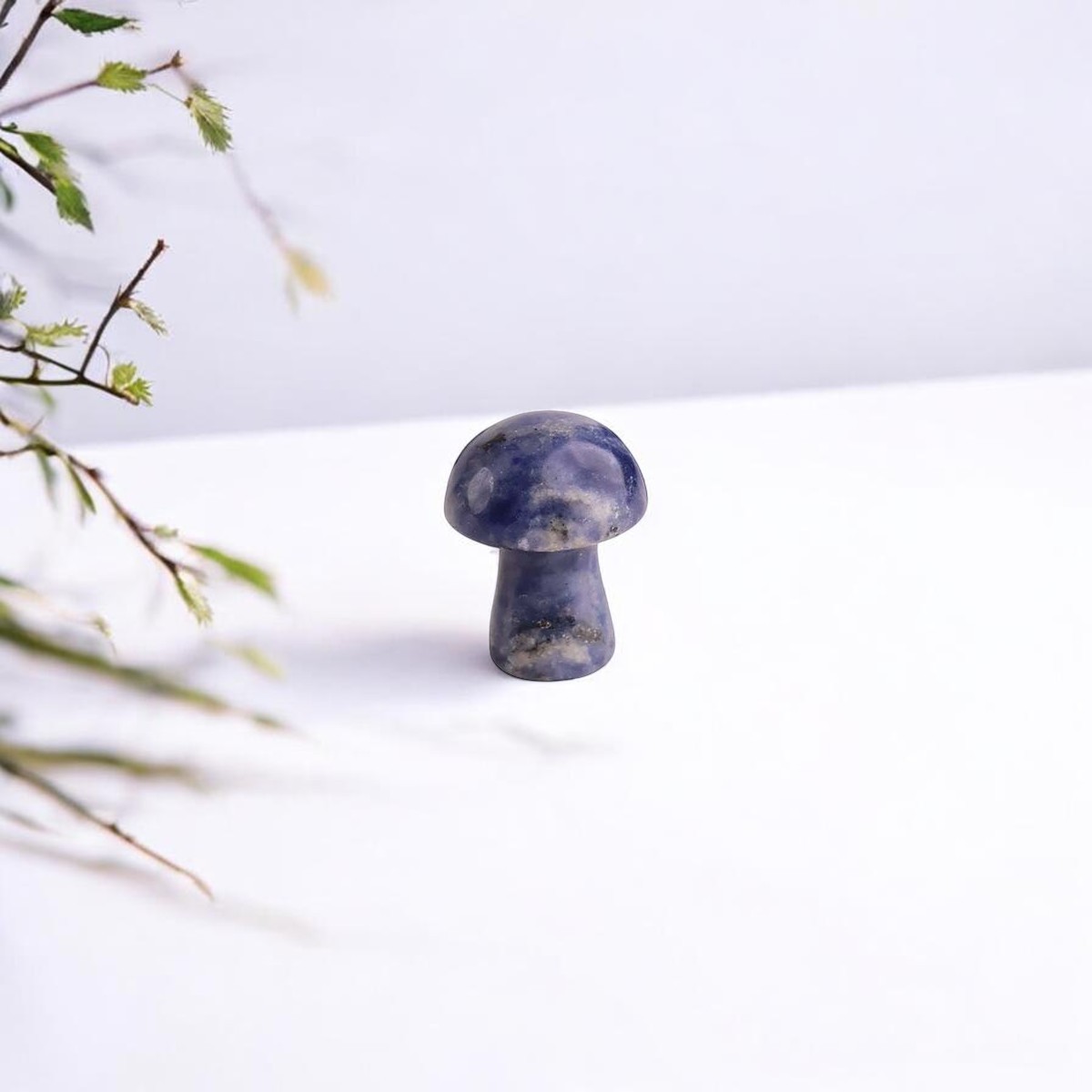 Sodalite Mushroom-Shubhanali Store (5) Sodalite Mushroom-Shubhanali Store