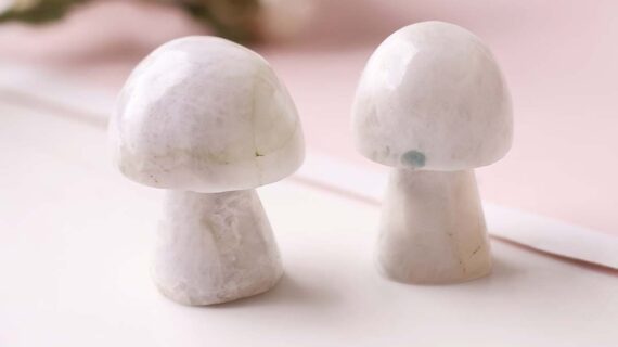 Rainbow Moonstone Mushroom