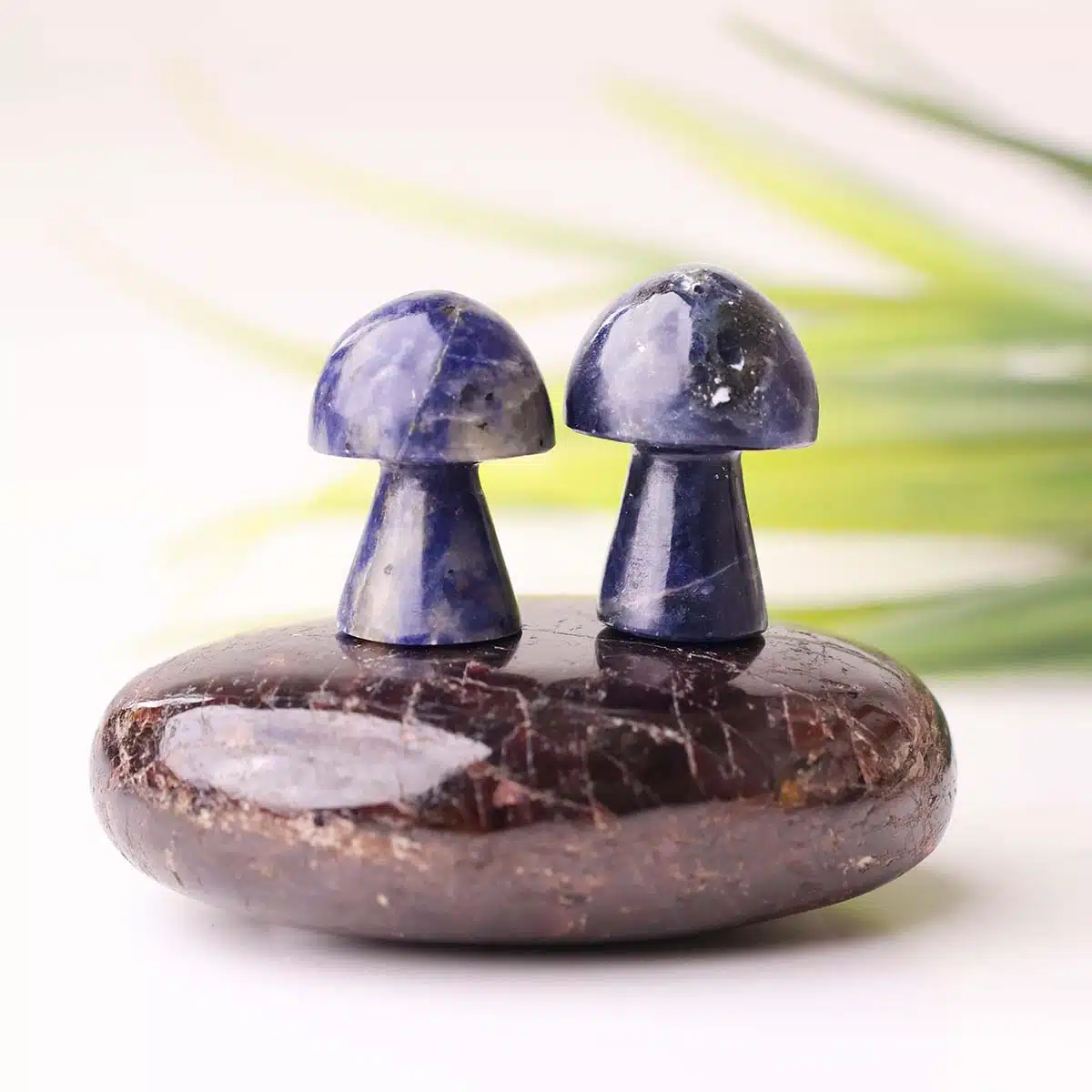 sodalite-mushroom (2) sodalite-mushroom