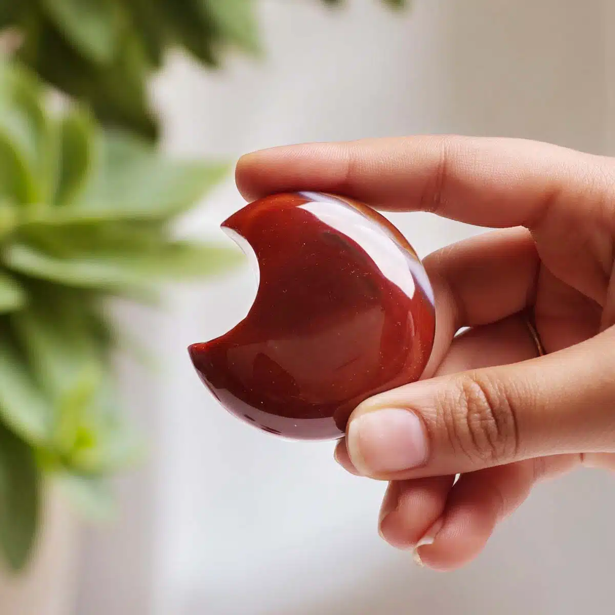 Shubhanjali-Red Carnelian Half Moon-1 Shop Natural Red Carnelian Crystal Half Moon