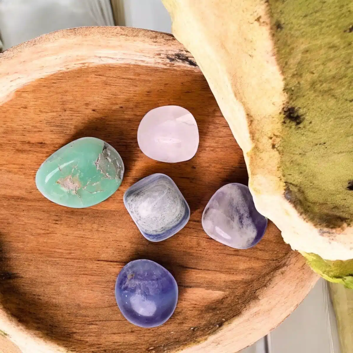 Shubhanjali-Tumble Kit For Education (1)-Photoroom (2)