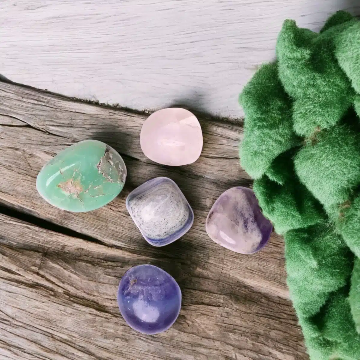 Shubhanjali-Tumble Kit For Education (1)-Photoroom (3)