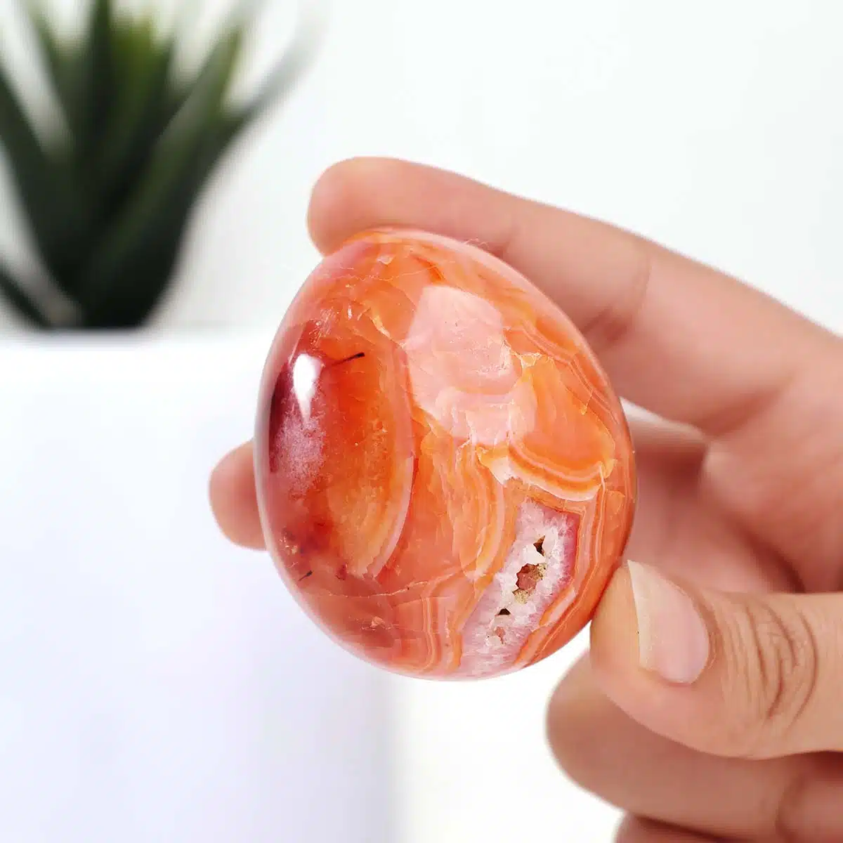 Shubhanjali-Red Carnelian Egg Shape Polished (2) Shop Natural Red Carnelian Egg Shape Polished