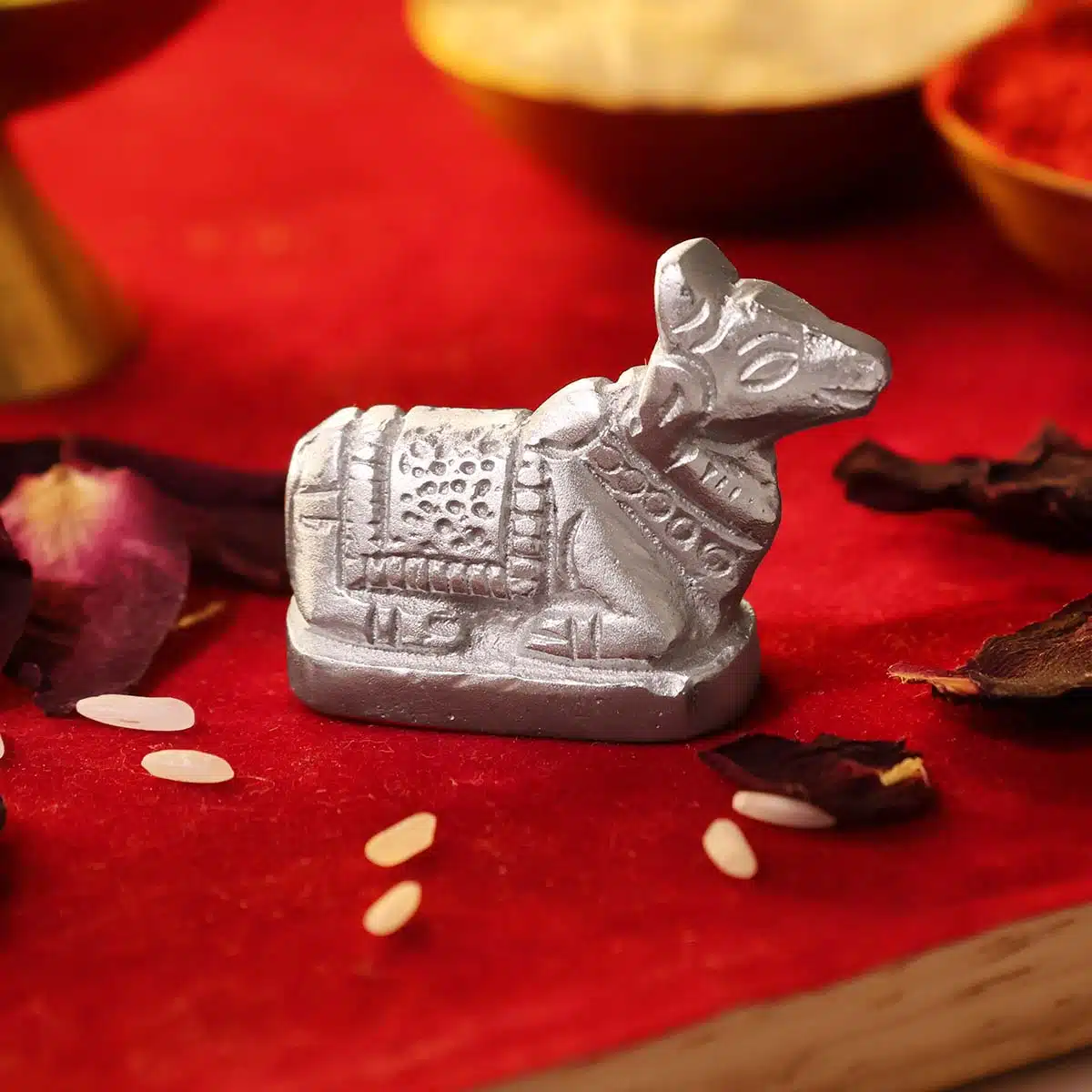 parad-nandi-idol (1)