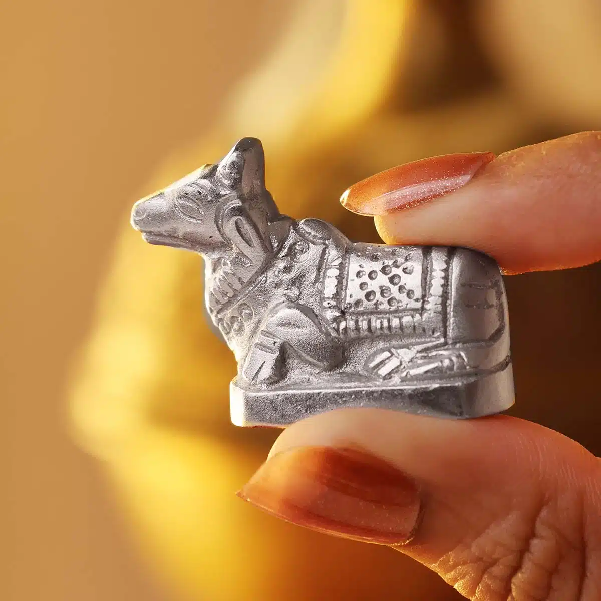 parad-nandi-idol (2)