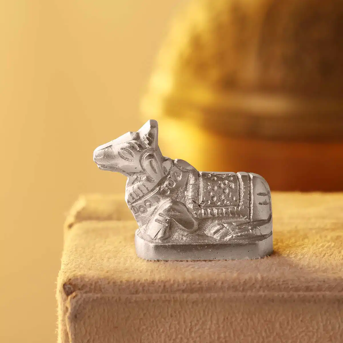 parad-nandi-idol (3)