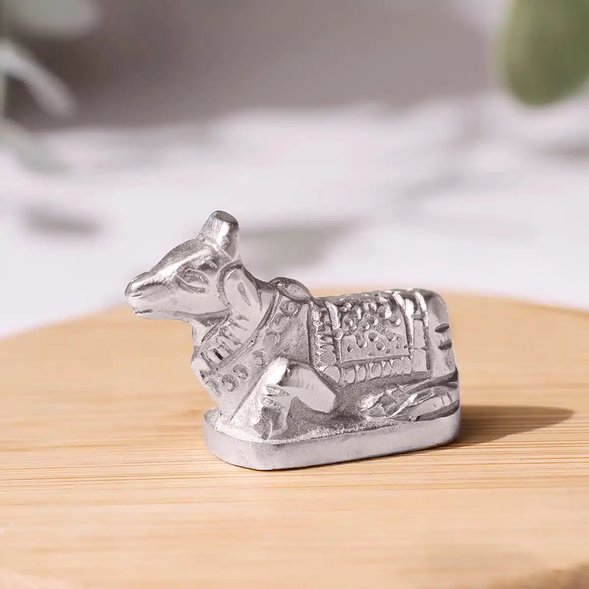 parad-nandi-idol (4)