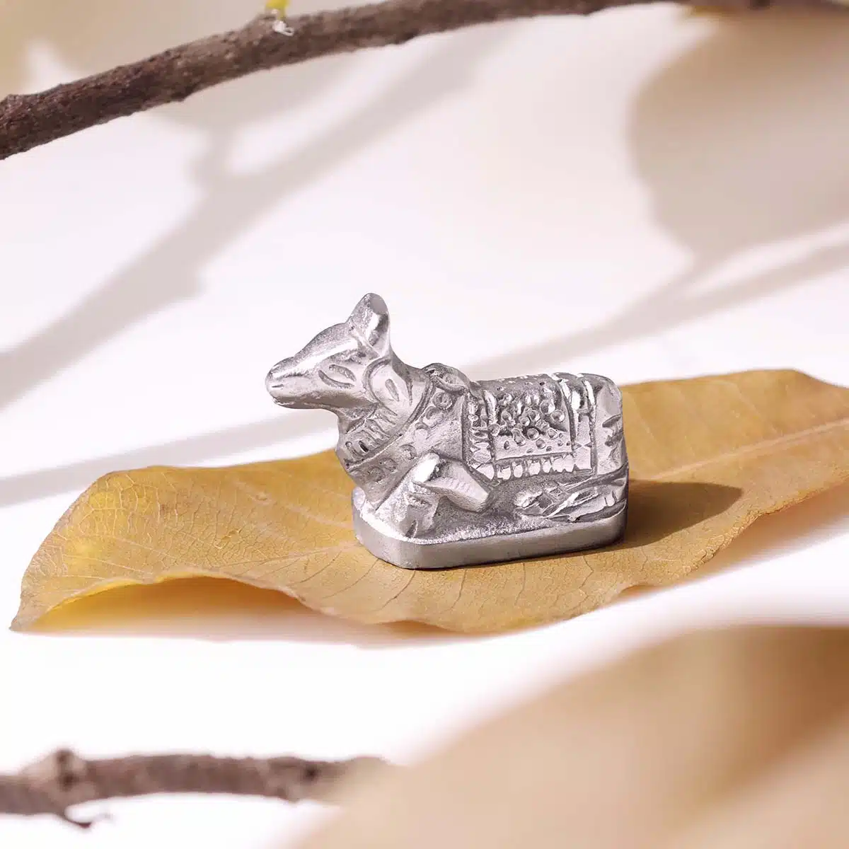 parad-nandi-idol (5)