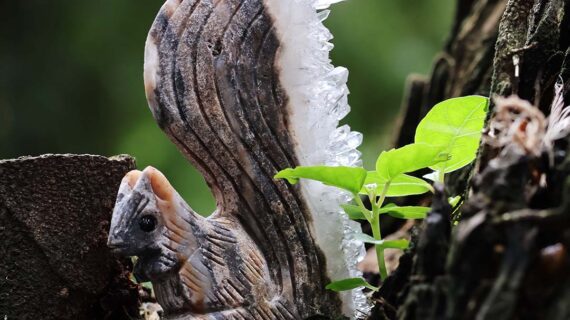 Clear Quartz Cluster Carved Squirrel Animal