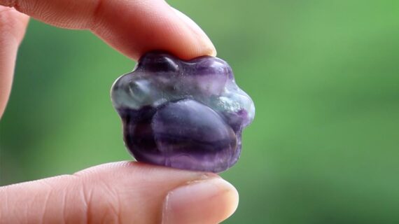 Multi Fluorite Cat Paw Carved