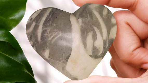 Shell Stone In Heart Shape Carved
