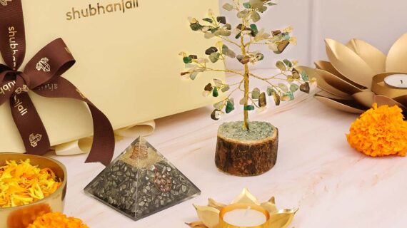 Divine Wealth Pyrite Bundle