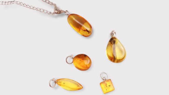 Amber Pendant Insect In Silver