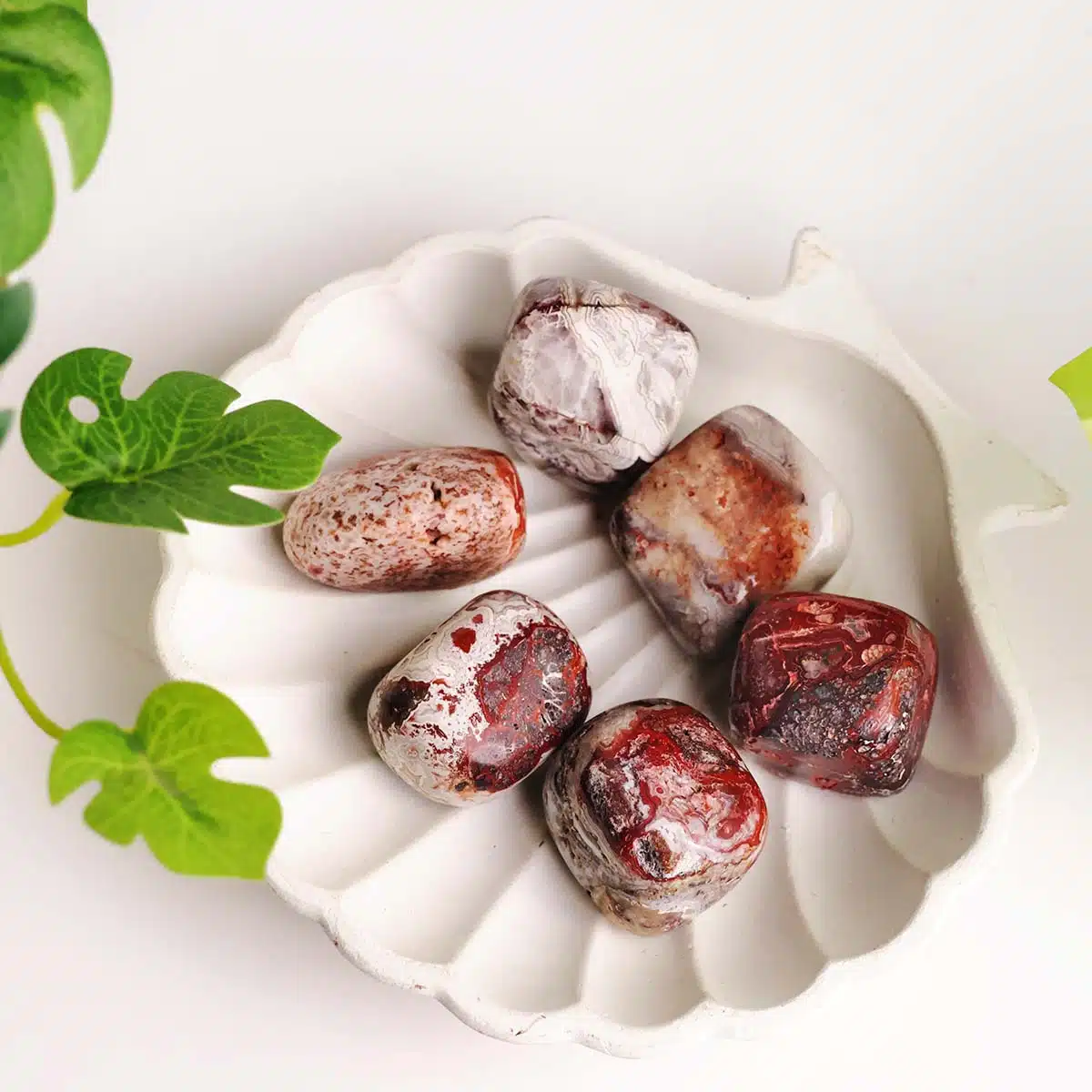 crazy-lace-agate-tumble-img-1 Crazy Lace Agate Tumble