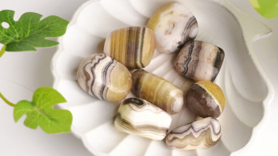 Zebra Calcite Tumble