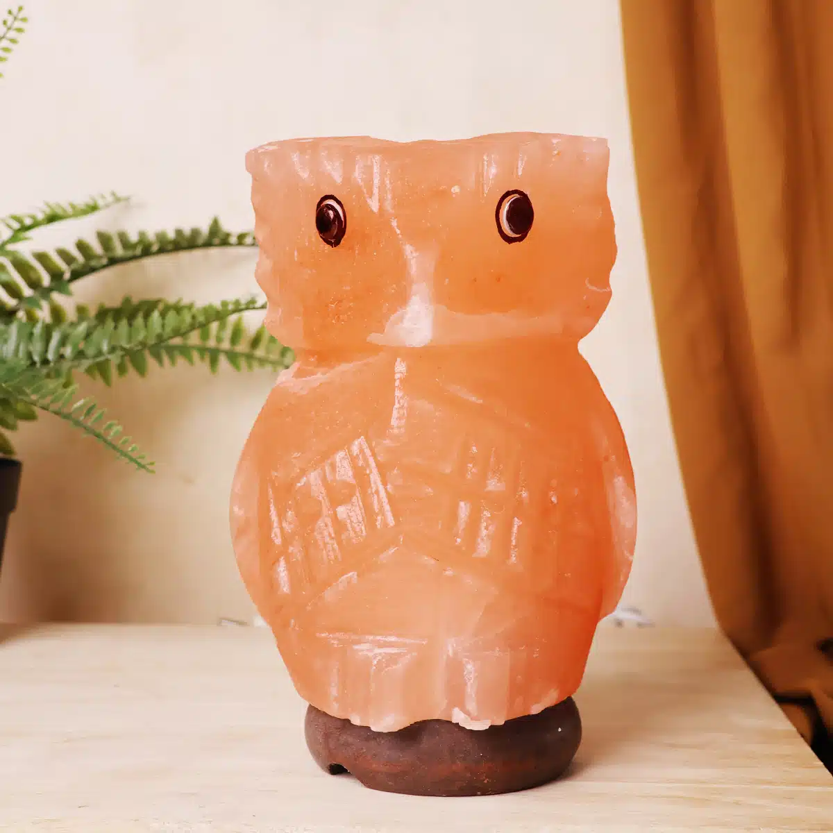 Owl Himalayan Salt Lamp (2)