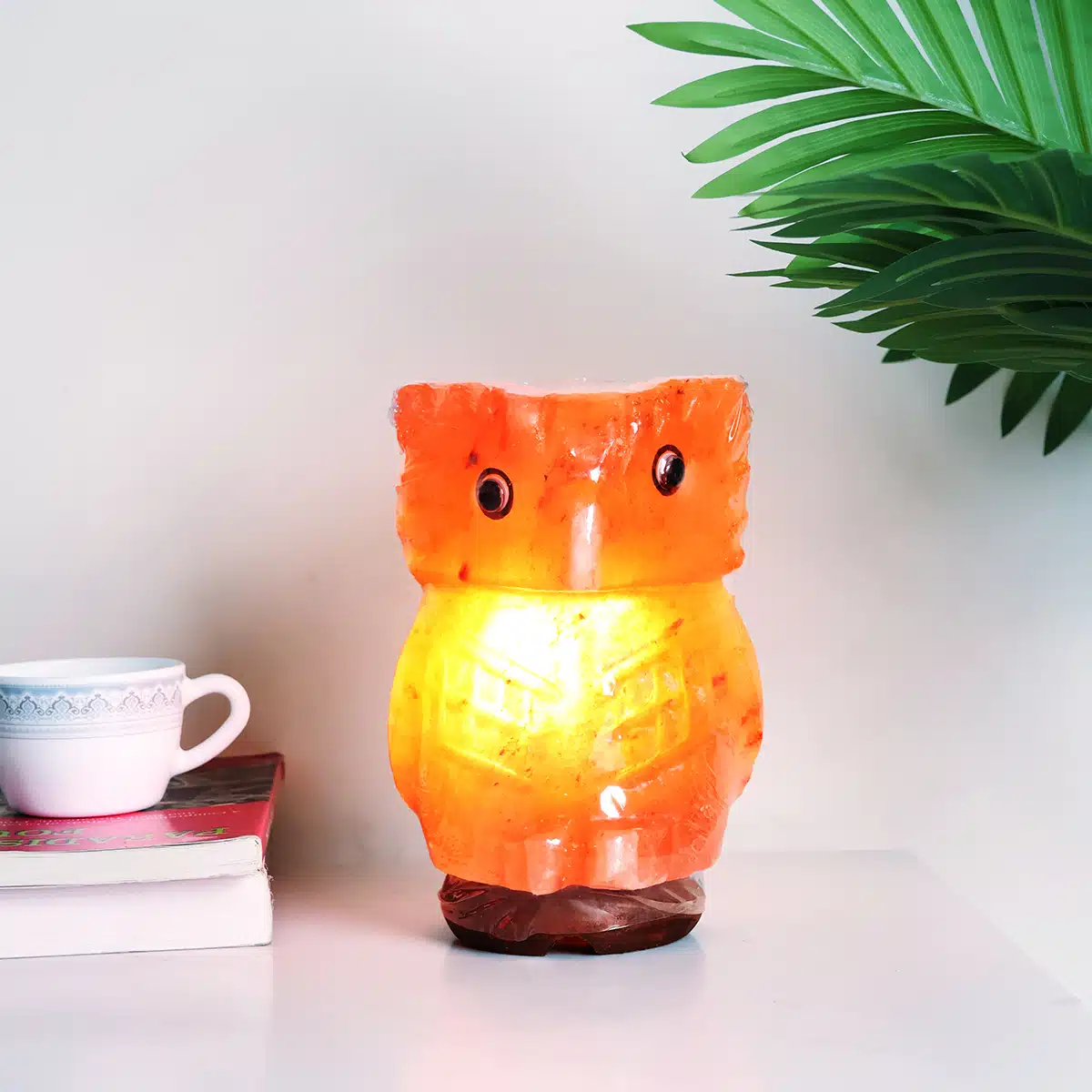 Owl Himalayan Salt Lamp (3)