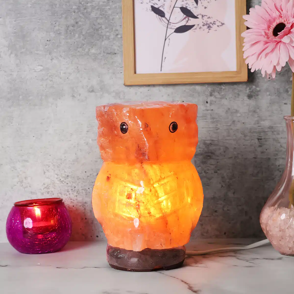 Owl Himalayan Salt Lamp (4)