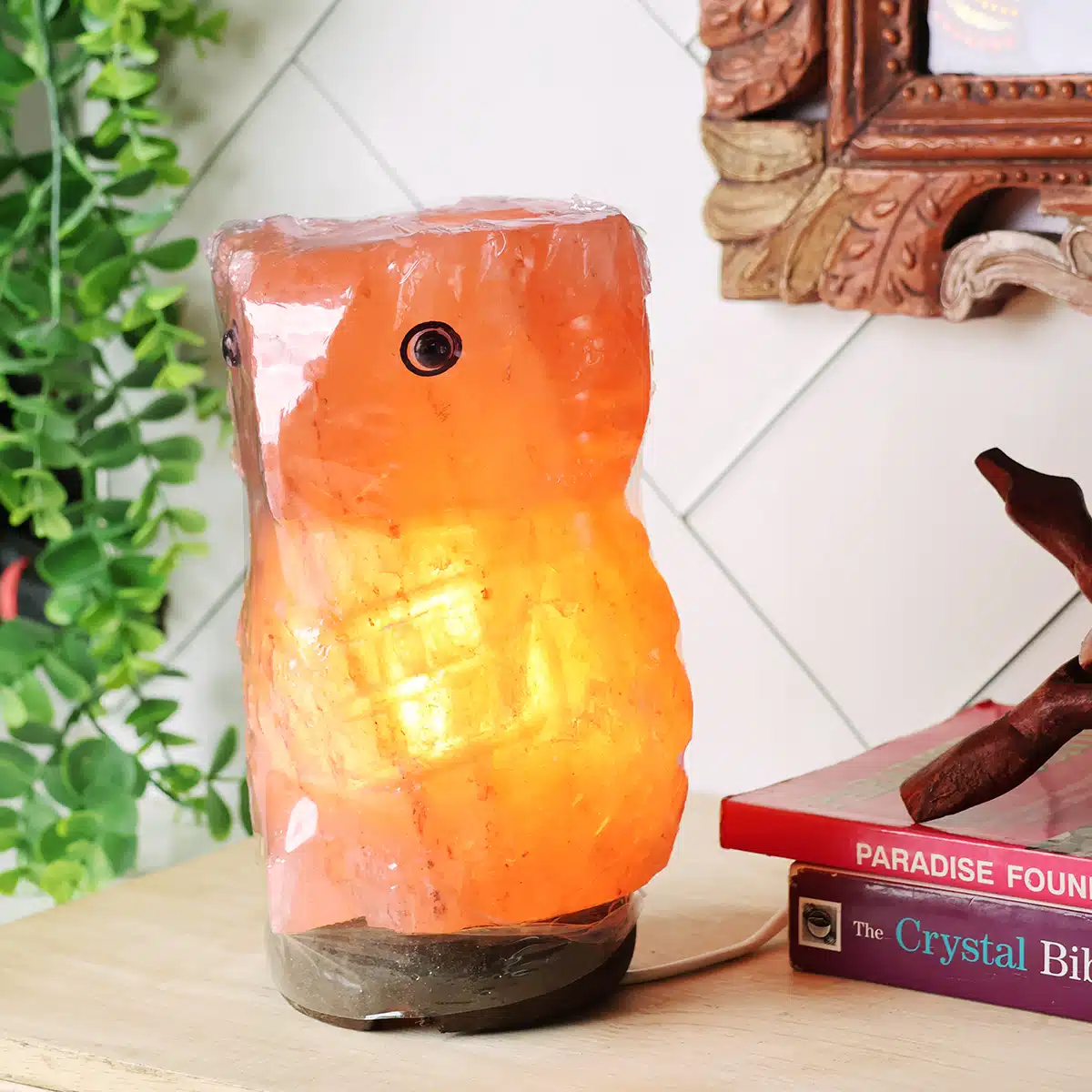 Owl Himalayan Salt Lamp (5)