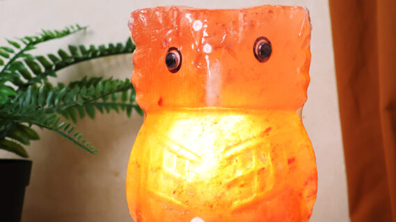 Owl Himalayan Salt Lamp