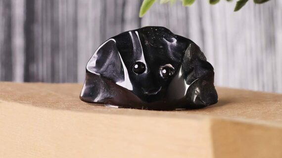 Black Obsidian Dumpling