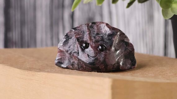 Astrophyllite With Garnet Dumpling